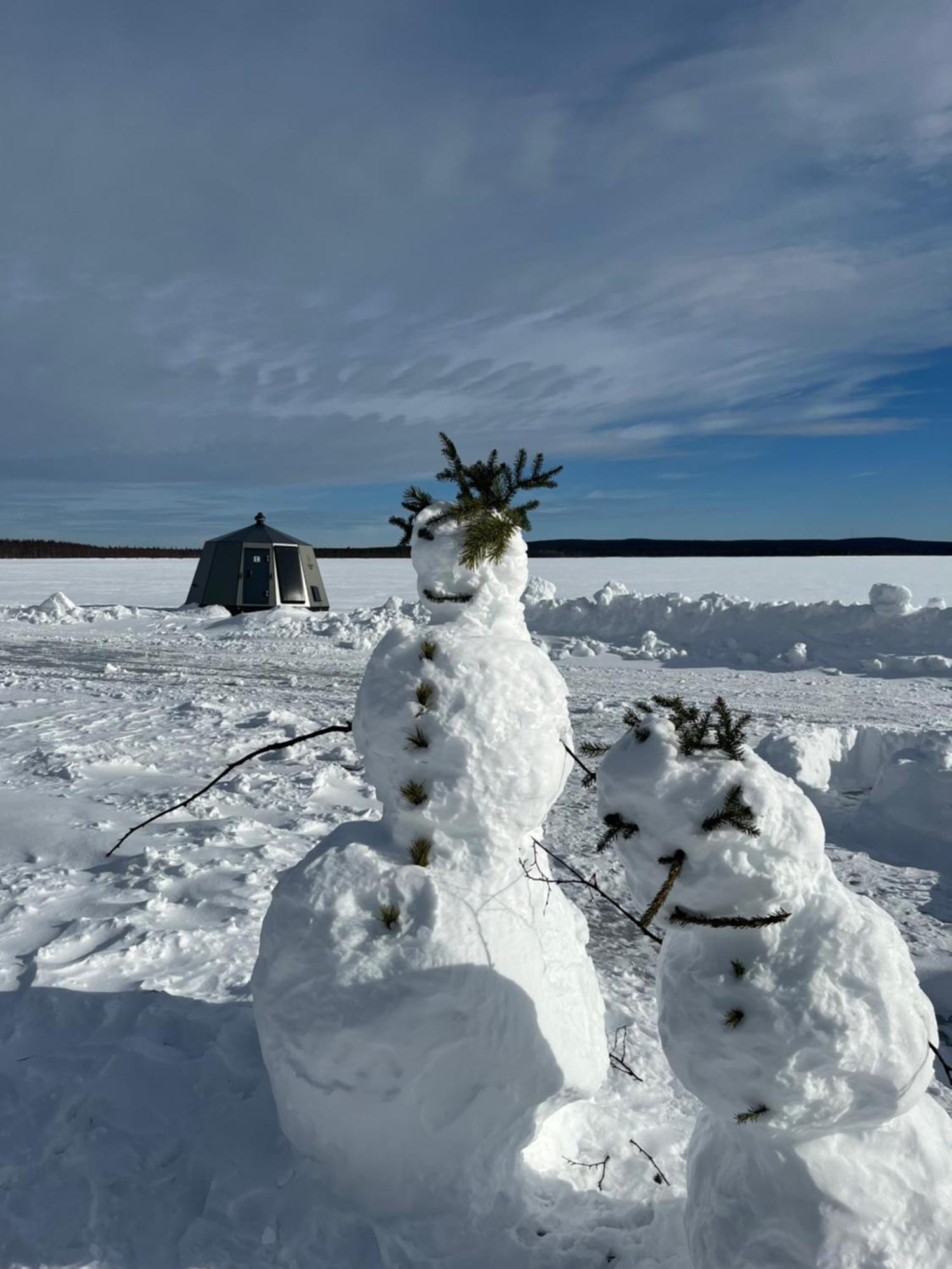 Vikajaervi Lake View Experience Igloos Rovaniemi Dış mekan fotoğraf
